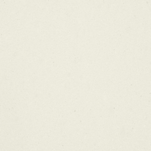 Fresh Concrete Quartz