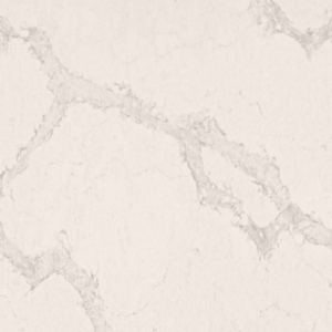 Calacatta Nuvo Honed Quartz