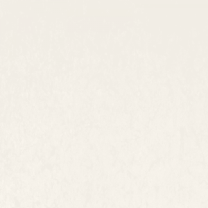 Frosty Carrina Honed Quartz