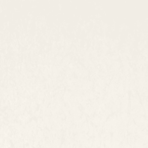 Frosty Carrina Quartz