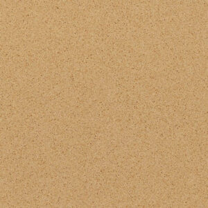 Cambrian Gold Quartz